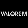 Valorem Group Translation Project Coordinator