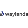 Waylands Automotive Sales Executive (Automotive)