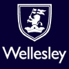 Wellesley Partners Ltd Senior Relationship Manager - Indian Corporates