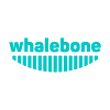 Whalebone Manual Test Engineer for a global cybersecurity product