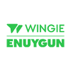 Wingie Enuygun Group Budget and Financial Reporting Specialist