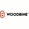 Woodbine Entertainment Group Money Room Auditor