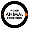 World Animal Protection Programme Coordinator