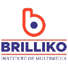 brilliko institute of multimedia VFX Teacher